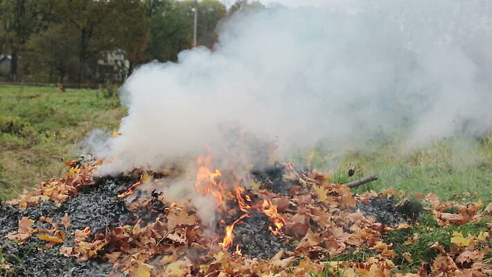 계절 잎 불 따뜻함 사람없음 야외 글로벌 노란색 환경 정원 업무 뜨거움 오염 변화 연기 청소 원예 벽난로 온도 연소 배기가스 온실 이산화탄소 효과 탄소 MOV 해외동영상 클립영상 자연요소 식물 컬러 컨셉 취미 작업 동영상 파일형식