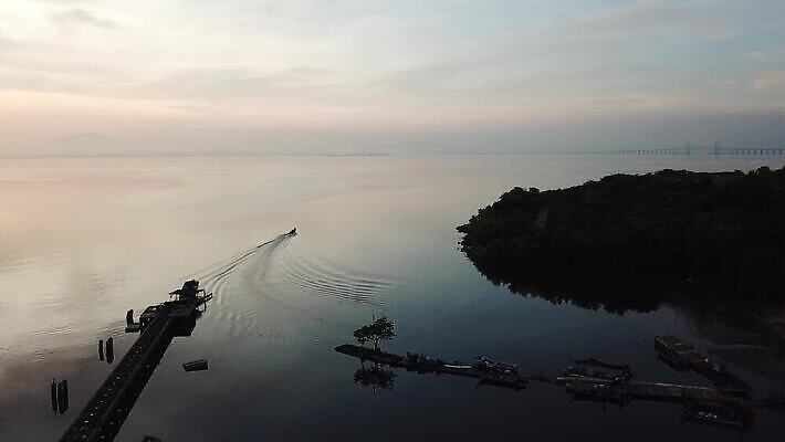 바다 백그라운드 자연 낚시 사람없음 야외 물 컬러풀 뷰티 평화 항구 침묵 일몰 안개 만 어선 보트 방파제 낚시꾼 어장 옛날 비어있는 4K MOV 해외동영상 클립영상 자연요소 공공시설 컬러 컨셉 배_교통 교통시설 레저 날씨 노을 소리 생태계 동영상 파일형식