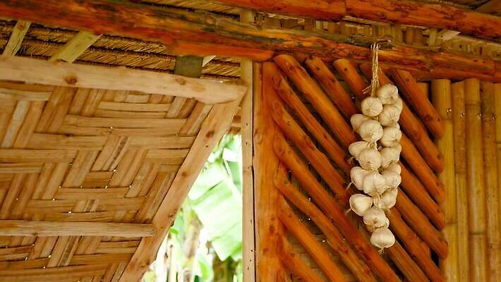 주간 전통 디자인 문화 벽 채소 건축양식 창문 표면 주택 건조 실내 매달리기 마늘 동양인 사람없음 내부 목재 마을 맑음 화목 방 시골 오픈 오두막 다발 대나무 잡동사니 수목 엮은 옛날 이국적 판잣집 4K MP4 해외동영상 클립영상 자연요소 나무 건축 컨셉 재료 모션 날씨 인종 건물 동영상 파일형식