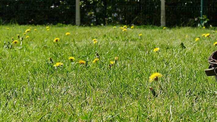 무기 사람없음 초록색 미국 장비 수확 보호 헬멧 충돌 군용 싸움 전쟁 육군 변장 병정 갑옷 보병 옛날 철강 4K MP4 해외동영상 클립영상 컬러 컨셉 북아메리카 농업 모션 군대 보호장비 동영상 파일형식