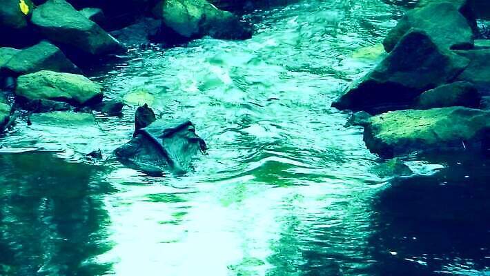 식물 디자인 지구 벽 백그라운드 컨셉 패턴 밭 자연 표면 날씨 추상 건조 풍경 사람없음 야외 물 여름 글로벌 태양 갈색 환경 흙 가을 바위 시골 거친 오염 균열 야간 댐 부식 질감 운하 점토 진흙 가뭄 유지 낭비 내추럴 그런지 깨짐 땅바닥 생태학 MP4 해외동영상 클립영상 자연요소 계절 공공시설 교육 컬러 무늬 농업 모션 바닥 돌_바위 생태계 동영상 파일형식