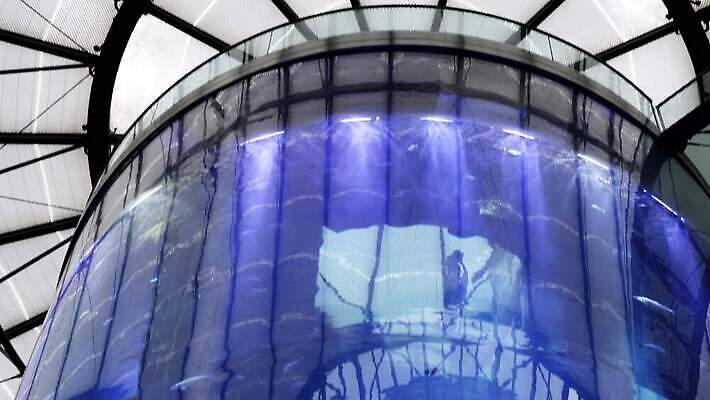 동물 유럽 야생동물 바다 여행 백그라운드 건축양식 자연 유리 호텔 독일 실내 동물원 어류 사람없음 내부 건물 장식 물 파란색 뷰티 반사 수중 도시 황무지 고급 전시회 천장 탱크 소금 수족관 베를린 깊이 랜드마크 4K MOV 해외동영상 클립영상 자연요소 건축물 건축 나라 컬러 컨셉 재질 숙소 수중동물 전시 생태계 동영상 파일형식