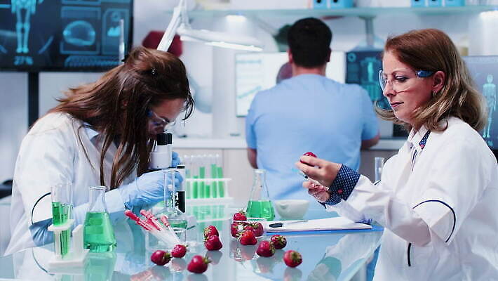 식물 직업 응시 산업 과학 딸기 노동자 건강 병원 현미경 실험 안전 사람 약 장비 시험 의사 코트 작업 실험실 생명공학 연구원 과학자 유기농 생물학 공학 조제 내추럴 개발 유전 유전자변형 4K MOV 해외동영상 클립영상 웰빙 시선 교육 과일 의학 실험기구 외투 의료진 만들기 동영상 학자 파일형식