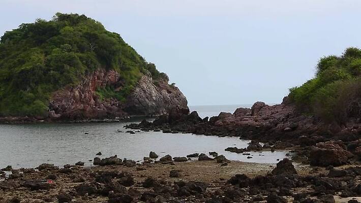 나무 모래 파도 바다 섬 여행 잎 요트 태국 자연 하늘 휴가 항해 손바닥 풍경 해변 사람없음 야외 물 여름 여행객 보트 하와이 발리 장면 코코넛 보라카이 석호 몰디브 바하마 이국적 터키석 파라다이스 MP4 해외동영상 클립영상 자연요소 식물 손 계절 아시아 과일 필리핀 사람 미국 배 보석 생태계 인도네시아 동영상 선박 파일형식 나라 수상교통 북아메리카 신체부위 동남아시아 광석 교통수단 아메리카 교통 대륙