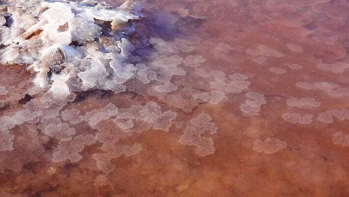 호수 바다 백그라운드 자연 풍경 사람없음 야외 물 바위 흰색 약초 크리스탈 휴양지 진흙 결정체 지구온난화 내추럴 우크라이나 짠맛 오데사 4K MP4 해외동영상 클립영상 자연요소 유럽 컬러 장소 돌_바위 풀_식물 맛 광석 생태계 동영상 기후변화 파일형식