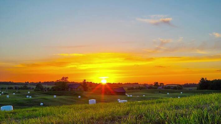 나무 계절 도로 여행 밭 농업 자연 하늘 주택 잔디 사람없음 초록색 햇빛 태양 농장 일출 맑음 일몰 봄 시골 볏짚 땅 언덕 장면 시에나 토스카나 수평선 4K 타임랩스 MP4 해외동영상 클립영상 자연요소 식물 산업 길 컬러 교통시설 날씨 촬영기법 건물 노을 이탈리아 짚 생태계 동영상 파일형식