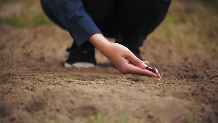 식물 손 무기 밭 농업 자연 주택 건강 관리 씨앗 한명 사람 취미 야외 농경지 환경 정원 행성 성장 작업 붓기 닫기 보호 농부 낟알 땅 심볼 에코 원예 내추럴 돌봄 땅바닥 생태학 원예사 세련 4K MOV 해외동영상 클립영상 직업 1 교육 산업 컨셉 모션 바닥 건물 신체부위 농장 우주 생태계 동영상 파일형식