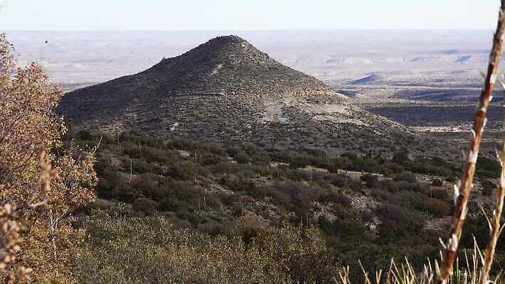 나무 식물 꽃 여행 백그라운드 자연 날씨 선인장 건조 사람없음 초록색 물 사막 뜨거움 가시 척추 날카로움 내추럴 뉴멕시코 다육식물 4K MP4 해외동영상 클립영상 자연요소 컬러 뼈 생태계 동영상 파일형식