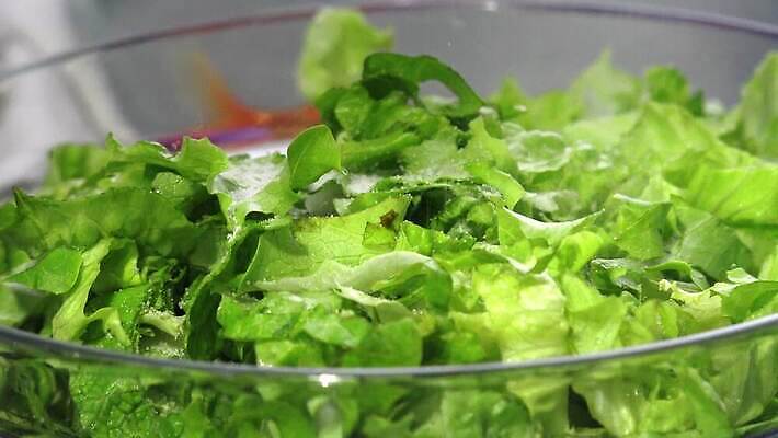 접시 음식 잎 채소 재료 유리 건강 사람없음 초록색 주방 저녁식사 샐러드 흰색 신선 사발 기름 상추 유기농 날것 소금 시저샐러드 식초 채식주의자 맛있는 4K MP4 해외동영상 클립영상 식물 식기 웰빙 컬러 재질 식사 사기그릇 채식 동영상 파일형식