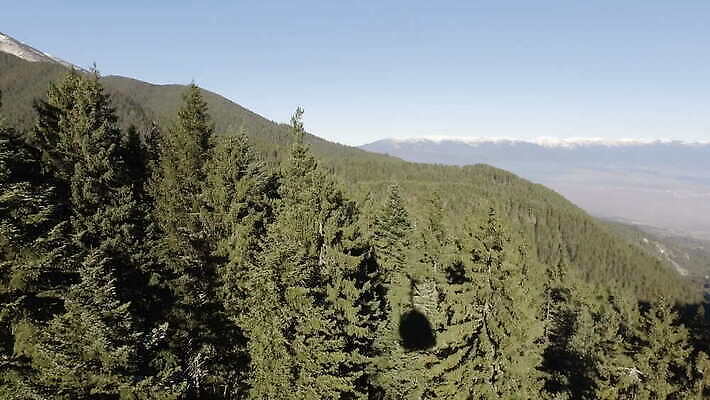 나무 구름 여자 남자 겨울 가족 모션 하늘 휴가 스키 산 그림자 사람없음 상자 태양 기쁨 자유 소나무 스노우보드 곤돌라 숲 엘리베이터 휴양지 알프스 리프트 산악지대 불가리아 가문비나무 4K 반스코 MOV 해외동영상 클립영상 자연요소 식물 계절 감정 유럽 컨셉 관계 겨울스포츠 사람 장소 보드_스포츠 동영상 파일형식 남유럽