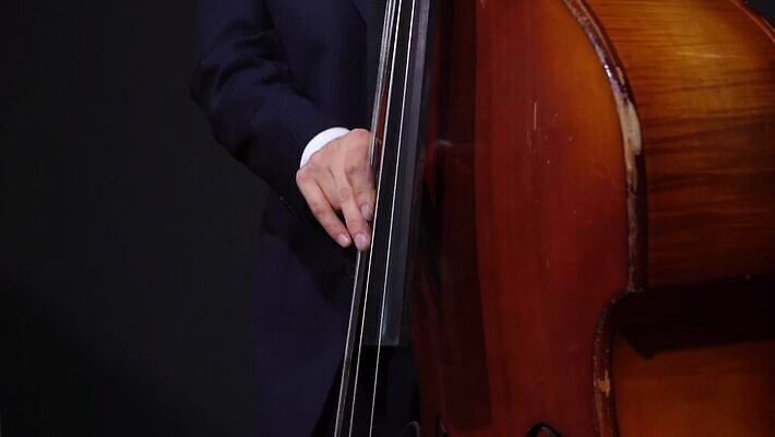 백인 드레스 여자 남자 줄 음악 놀이 사람 이벤트 성인 목재 소리 콘서트 공연 음악가 기구 잡기 괴짜 클래식 바이올린 열정 첼로 재즈 바이올리니스트 오케스트라 교향곡 뮤지컬 비올라 실행 플레이어 MOV 해외동영상 클립영상 서양인 나무 직업 옷 감정 컨셉 재료 모션 현악기 문화예술 연주자 악단 동영상 파일형식 찰현악기