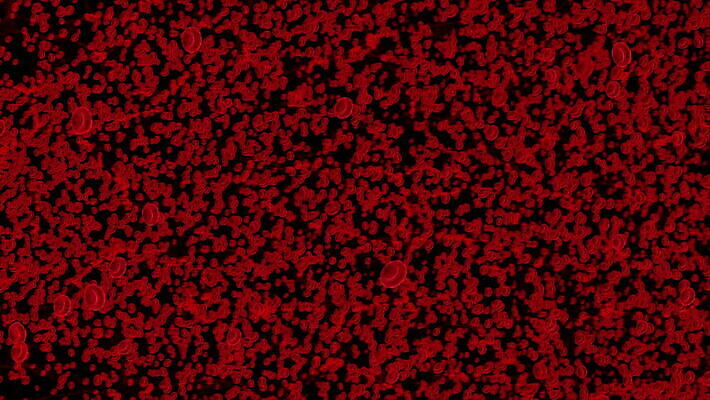 과학 백그라운드 신체 해부 생물 세포 건강 현미경 사람 사람없음 빨간색 약 3D 흐름 혈액 확대 질병 생물학 순환 함선 만들기 미생물 활기 애니메이션 암 테라피 박테리아 동맥 정맥 유전 MOV 해외동영상 클립영상 교육 컬러 컨셉 배_교통 의학 모션 실험기구 뷰티 디지털합성 혈관 동영상 파일형식