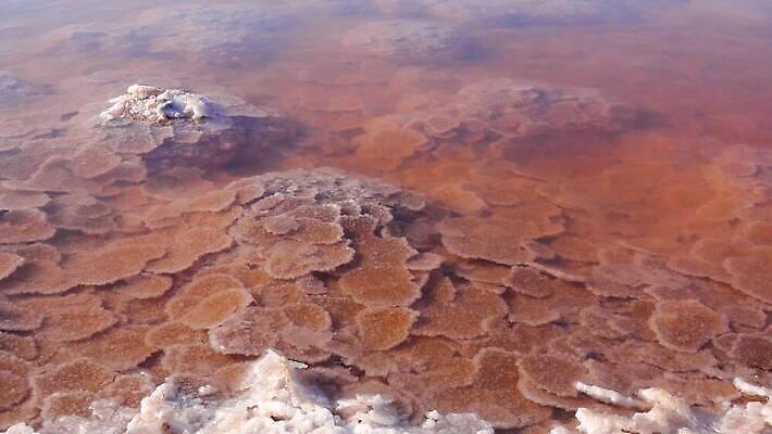 호수 바다 백그라운드 자연 사람없음 야외 물 흰색 약초 크리스탈 휴양지 진흙 결정체 지구온난화 내추럴 우크라이나 짠맛 오데사 4K MP4 해외동영상 클립영상 자연요소 유럽 컬러 장소 풀_식물 맛 광석 생태계 동영상 기후변화 파일형식