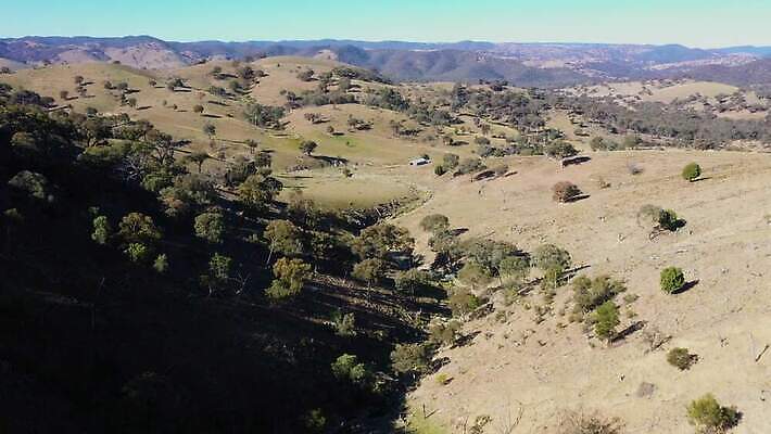 나무 여행 잎 농업 자연 하늘 산 건조 안테나 풍경 사람없음 야외 초록색 파란색 농장 갈색 환경 계곡 개울 호주 숲 언덕 가뭄 드론 밭일 4K MP4 해외동영상 클립영상 식물 산업 컬러 통신 날씨 강 오세아니아 생태계 동영상 파일형식