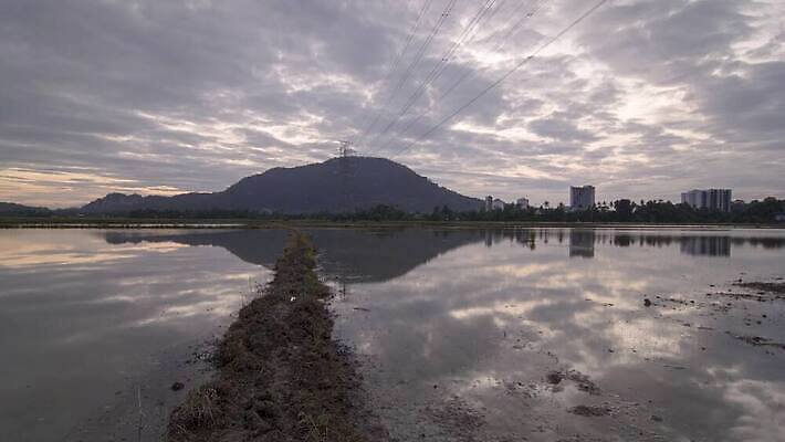 식물 구름 계절 컬러 밭 농업 자연 하늘 풍경 초원 사람없음 야외 초록색 여름 파란색 빛 컬러풀 햇빛 태양 농경지 반사 일출 맑음 일몰 시골 신선 땅 장면 천국 내추럴 넘어짐 수평선 4K 타임랩스 MP4 해외동영상 클립영상 자연요소 산업 모션 날씨 촬영기법 농장 노을 생태계 동영상 파일형식