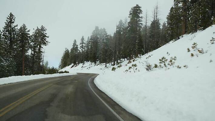 나무 도로 여행 크리스마스 겨울 자동차 자연 유리 날씨 사람없음 냉동 미국 운전 추위 안개 흰색 소나무 고속도로 황무지 분위기 숲 신비 시원함 환경보전 침엽수 자동 제설기 직진 폭설 4K MP4 해외동영상 클립영상 식물 계절 기념일 길 육상교통 컬러 컨셉 북아메리카 교통시설 모션 재질 눈_날씨 자연재해 사회이슈 생태계 동영상 제설 파일형식