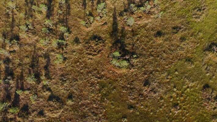 나무 식물 유럽 컬러 여행 자연 하늘 안테나 사람없음 야외 반사 환경 침묵 펼침 연못 소나무 보호 습지 숲 생태계 러시아 내추럴 드론 변소 전국 4K MP4 해외동영상 클립영상 나라 컨셉 통신 모션 소리 동영상 파일형식