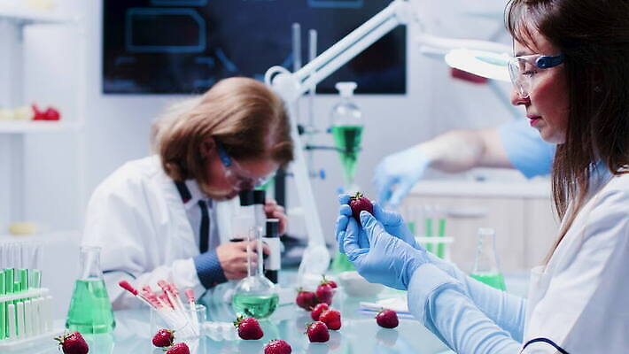 식물 직업 응시 산업 과학 딸기 노동자 건강 병원 현미경 실험 안전 사람 약 장비 시험 의사 코트 작업 실험실 생명공학 연구원 과학자 유기농 생물학 공학 조제 내추럴 개발 유전 유전자변형 4K MOV 해외동영상 클립영상 웰빙 시선 교육 과일 의학 실험기구 외투 의료진 만들기 동영상 학자 파일형식