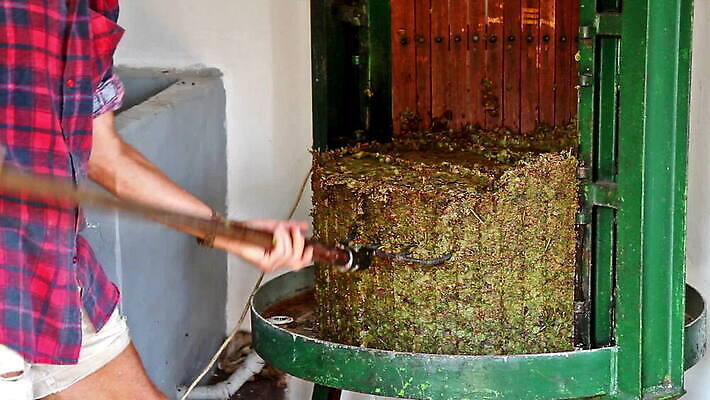 전통 농업 과일 한명 사람 목재 초록색 농경지 와인 기계 주스 수확 골동품 시골 알코올 신선 농부 컨테이너 철 만들기 포도밭 발효 포도나무 언론 헝가리 방법 압력 양조장 옛날 조작 지하실 핸드메이드 MOV 해외동영상 클립영상 나무 직업 1 산업 음료 컬러 밭 재료 모션 주류 농장 과일나무 동영상 동유럽 파일형식