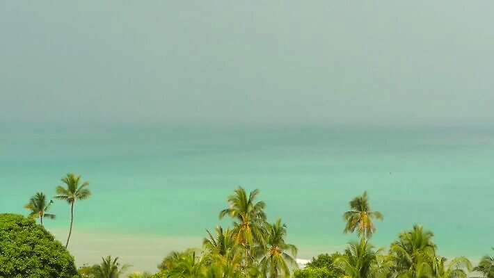 나무 파도 바다 컬러 섬 여행 하늘색 백그라운드 모션 자연 하늘 바람 휴가 휴식 파노라마 손바닥 사람없음 초록색 물 파란색 맑음 만 고급 휴양지 인도네시아 코코넛 천국 석호 완벽 이국적 터키석 파라다이스 포상금 푸켓 MOV 해외동영상 클립영상 자연요소 식물 손 아시아 컨셉 돈 과일 태국 날씨 촬영기법 장소 보석 생태계 동영상 파일형식