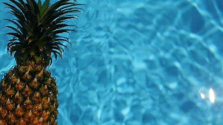 계절 물결 음식 파도 컬러 여행 백그라운드 컨셉 잎 다이어트 과일 자연 휴가 휴식 건강 사람없음 야외 물 여름 파란색 햇빛 뷰티 노란색 맑음 수영 거품 젖음 신선 액체 달콤 떨어짐 당구 파인애플 상쾌 유기농 질감 내추럴 이국적 터키석 디톡스 비건 MOV 해외동영상 클립영상 자연요소 식물 웰빙 감정 바다 날씨 태양 구기 수상스포츠 맛 보석 열대과일 생태계 동영상 채식주의자 파일형식