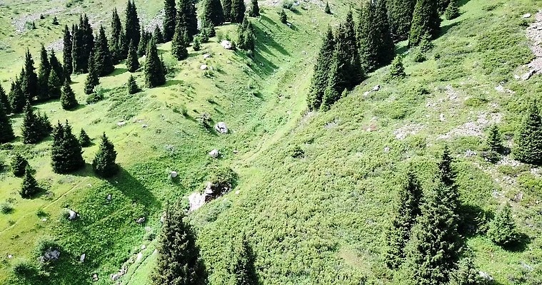 나무 공원 여행 자연 산 안테나 사람없음 야외 물 환경 골짜기 검은색 놀람 폭포 하이킹 흐름 황무지 동굴 암초 내추럴 항공촬영 드론 지질학 카자흐스탄 가문비나무 4K 알마티 MP4 해외동영상 클립영상 자연요소 식물 공공시설 교육 감정 아시아 뷰포인트 컬러 컨셉 통신 레저 표정 생태계 동영상 파일형식