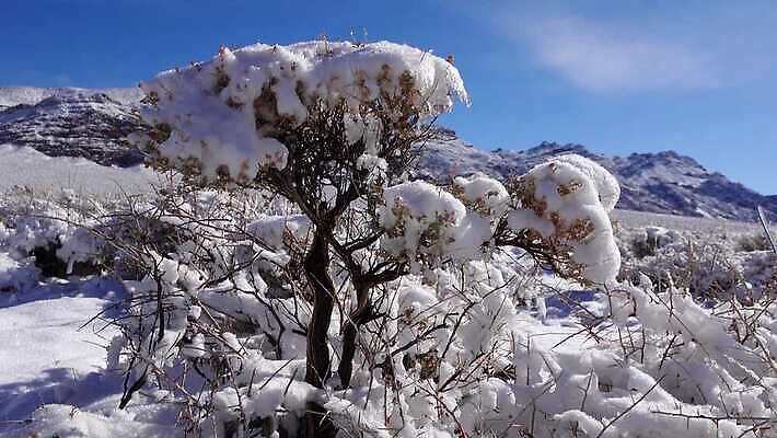 구름 공원 모래 여행 겨울 자국 자연 하늘 휴가 산 건조 파노라마 풍경 사람없음 야외 파란색 계곡 맑음 미국 트래킹 하이킹 사막 흰색 황무지 숲 언덕 캘리포니아 통과 내추럴 요세미티국립공원 전국 절정 4K MP4 해외동영상 클립영상 자연요소 계절 공공시설 컬러 북아메리카 레저 날씨 촬영기법 국립공원 생태계 동영상 파일형식