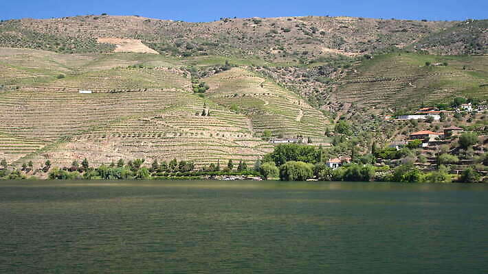 유럽 벽 여행 밭 농업 자연 경사 사람없음 야외 초록색 강 농장 와인 계곡 시골 크루즈 포르투갈 묘사 언덕 포도밭 포도나무 포트 계단식 도루강 양조장 옛날 4K MOV 해외동영상 클립영상 나라 산업 컬러 배_교통 주류 과일나무 생태계 동영상 파일형식
