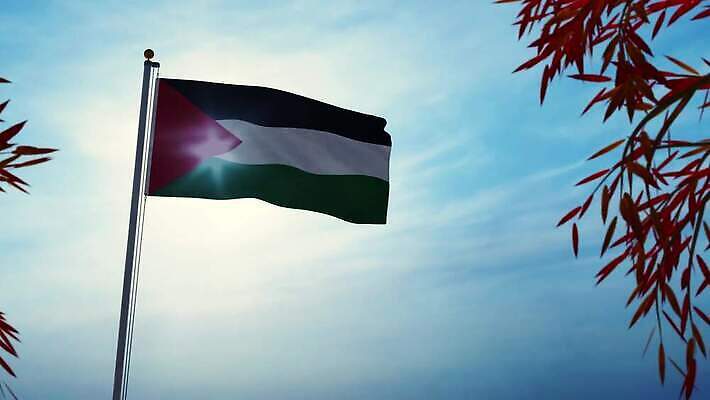 나무 배너 실루엣 물결 파도 백그라운드 하늘 바람 사람없음 그래픽 햇빛 태양 흐름 자유 깃발 불기 군용 만들기 지역 깃대 봉 애니메이션 동영상 애국심 명예 전국 정부 통일 팔레스타인 4K MOV 해외동영상 클립영상 자연요소 식물 바다 컨셉 중동 모션 날씨 군대 촬영기법 파일형식