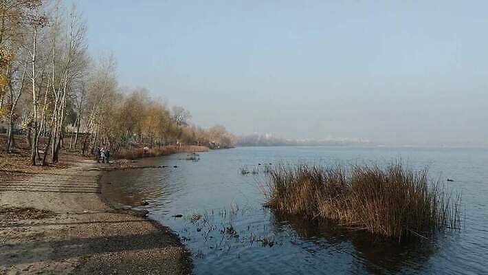 나무 호수 모래 잎 오렌지 자연 하늘 아침 오리 사람없음 야외 건물 빨간색 물 파란색 빛 강 햇빛 반사 노란색 평화 침묵 안개 도시 버드나무 장면 암초 타운 청둥오리 미루나무 우크라이나 4K MP4 해외동영상 클립영상 주간 자연요소 식물 건축물 유럽 컬러 컨셉 과일 조류 날씨 태양 소리 생태계 동영상 파일형식