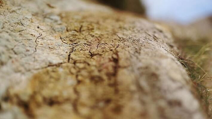 꽃 유럽 선 바다 섬 여행 백그라운드 자연 하늘 휴가 영국 잉글랜드 파노라마 사람 풍경 사람없음 야외 초록색 물 도시풍경 항구 보라색 역사 언덕 장면 지역 포트 동영상 랜드마크 수평선 MOV 해외동영상 클립영상 자연요소 식물 나라 컬러 교통시설 촬영기법 도시 생태계 파일형식