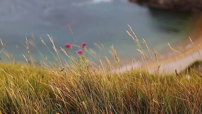 꽃 유럽 선 바다 섬 여행 백그라운드 자연 하늘 휴가 영국 잉글랜드 파노라마 사람 풍경 사람없음 야외 초록색 물 도시풍경 항구 보라색 역사 언덕 장면 지역 포트 동영상 랜드마크 수평선 MOV 해외동영상 클립영상 자연요소 식물 나라 컬러 교통시설 촬영기법 도시 생태계 파일형식