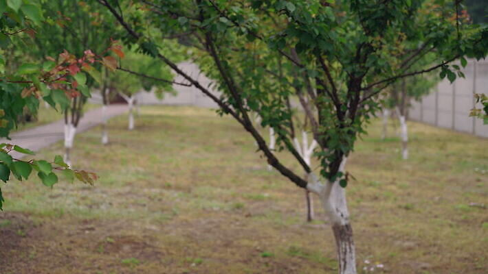주간 식물 백인 라이프스타일 여자 행복 포즈 채소 자연 주택 갈색머리 건강 한명 미소 사람 성인 야외 여름 30대 파란색 정원 농사 맑음 성장 신선 잡기 에코 유기농 원예 뒤뜰 바이오 심기 원예사 4K MOV 해외동영상 클립영상 자연요소 서양인 직업 1 헤어스타일 웰빙 계절 감정 컬러 농업 모션 날씨 표정 취미 건물 생활 장년 환경 생태계 동영상 파일형식
