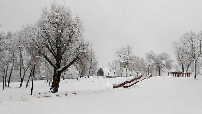 나무 계절 공원 도로 길 조각 여행 겨울 가로등 자연 하늘 날씨 파노라마 사람없음 야외 빛 계단 환경 냉동 얼음 침묵 추위 흰색 램프 눈송이 터널 시원함 버드나무 서리 장면 북쪽 단계 내추럴 미루나무 우크라이나 눈내림 4K MOV 해외동영상 클립영상 자연요소 식물 공공시설 유럽 컬러 교통시설 조명 눈_날씨 촬영기법 소리 방향 생태계 동영상 파일형식