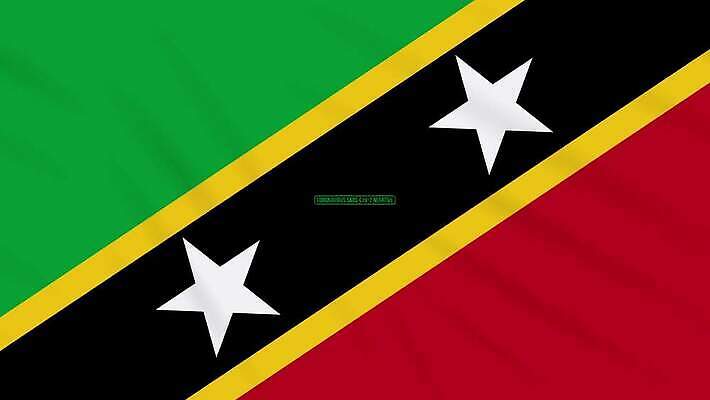 과학 백그라운드 건강 사람없음 치료 초록색 약 자유 깃발 고리 바이러스 질병 디지털합성 예방 생물학 감염 미생물 애니메이션 우표 박테리아 그런지 돌리기 백신 부정적 전염병 증상 치유 항생제 사스 코로나바이러스 4K MOV 해외동영상 클립영상 교육 감정 컬러 컨셉 의학 모션 생물 동영상 파일형식