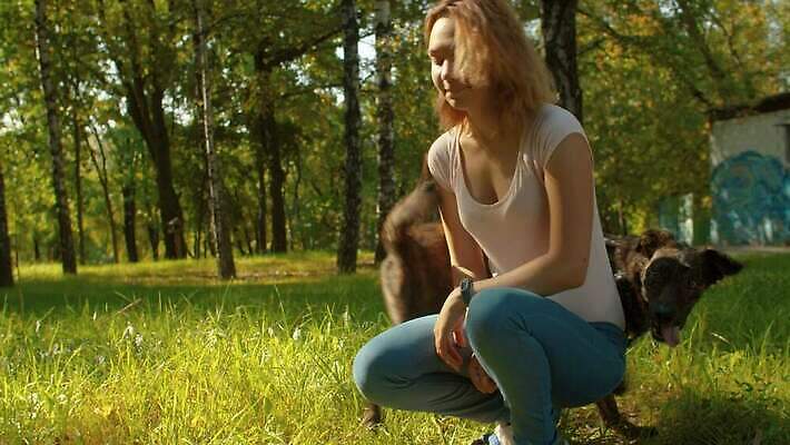 동물 공원 여자 행복 운동화 자연 놀이 휴가 함께함 따뜻함 한명 사람 야외 초록색 친구 반려동물 운동 걷기 맑음 우정 기쁨 개 만족 주인 송곳니 복종 충실 4K MOV 해외동영상 슬로모션 클립영상 1 공공시설 감정 컬러 신발 컨셉 포유류 관계 모션 날씨 촬영기법 건강 치아 생태계 동영상 파일형식