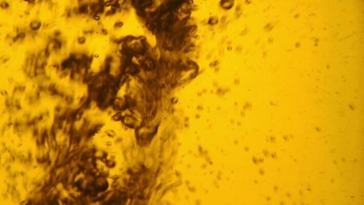 음료 백그라운드 모션 유리 표면 사람없음 옆모습 컵 초록색 물 노란색 주스 거품 흐름 신선 뜨거움 항아리 액체 개울 붓기 닫기 냄비 컨테이너 찻주전자 가득함 준비 회전 함선 각도 부드러움 느림 양조 우롱차 투입 MOV 해외동영상 클립영상 자연요소 식기 산업 뷰포인트 컬러 컨셉 배_교통 재질 주전자 차_음료 강 도자기 감각 솥 동영상 파일형식