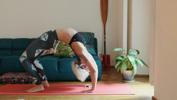 백인 거실 요가 짧은머리 주택 실내 건강 한명 운동복 금발 운동 이탈리아 매트 유연 밀라노 4K MOV 해외동영상 클립영상 서양인 1 헤어스타일 웰빙 옷 유럽 사람 내부 건물 동영상 파일형식