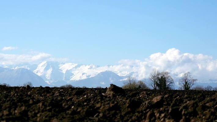 계절 지구 백그라운드 밭 농업 자연 하늘 풍경 사람없음 농장 농경지 갈색 환경 경작 흙 봄 시골 땅 만취 먼지 땅바닥 밭일 쟁기 세련 4K MP4 해외동영상 클립영상 산업 컬러 바닥 농사 생태계 동영상 술취함 파일형식