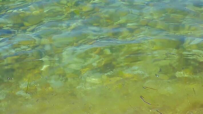 동물 호수 야생동물 바다 컬러 여행 백그라운드 모션 자연 표면 바닥 사람없음 초록색 물 파란색 빛 강 환경 수중 수영 젖음 흐름 신선 투명 개울 스노클링 아래 다이빙 슛 암초 내추럴 바하마 많음 4K MP4 해외동영상 클립영상 자연요소 컨셉 수상스포츠 방향 생태계 위치 동영상 수중스포츠 파일형식