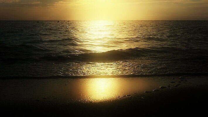 모래 파도 바다 섬 여행 백그라운드 오렌지 자연 하늘 휴가 휴식 사람없음 물 파란색 모래사장 햇빛 태양 일출 맑음 황혼 일몰 새벽 서핑 황금 하와이 대서양 파라다이스 하와이인 수평선 MOV 해외동영상 슬로모션 클립영상 자연요소 외국인 컬러 컨셉 과일 날씨 촬영기법 노을 미국 수상스포츠 생태계 동영상 파일형식