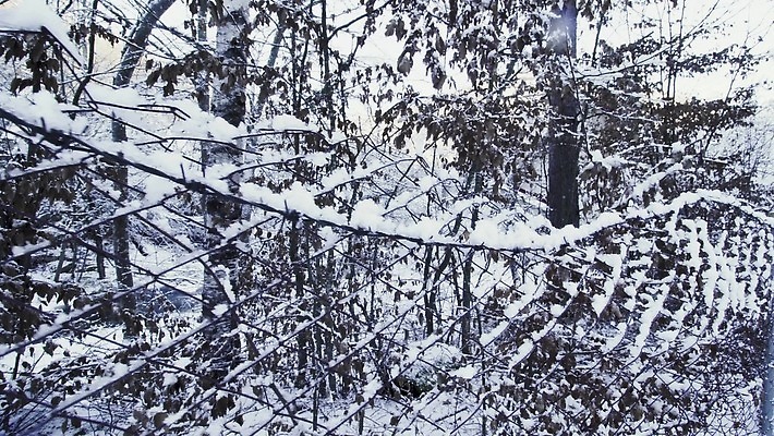 나무 도로 여행 겨울 패턴 자국 모션 자연 스키 산 건강 사람없음 야외 울타리 달리기 금속 냉동 하이킹 운전 추위 흰색 나뭇가지 신선 숲 접속 땅 속도 철사 펜싱 짜임 마케도니아 오프로드 철강 눈내림 아연 4K MP4 해외동영상 클립영상 식물 계절 길 스포츠 컬러 무늬 교통시설 재질 레저 겨울스포츠 눈_날씨 담장 생태계 동영상 영양소 파일형식 남유럽