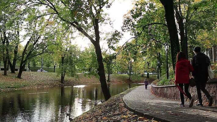 공원 유럽 도로 여행 오리 사람없음 태양 산책 연못 도시 보행자 개 전차 라트비아 리가 선로 MOV 해외동영상 클립영상 자연요소 공공시설 나라 길 육상교통 포유류 교통시설 조류 휴식 대중교통 북유럽 동영상 파일형식