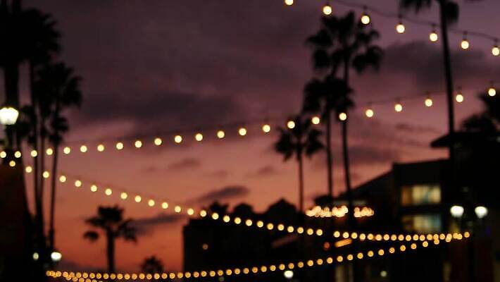 실루엣 여행 전구 하늘 휴가 전등 거리 사람없음 아웃포커스 여름 야자수 미국 화환 어둠 황혼 일몰 새벽 램프 분위기 저녁 소프트포커스 보케 네온 캘리포니아 야광 빛망울 로스앤젤레스 광 플로리다 미니멀 4K 오션사이드 산타모니카 MP4 해외동영상 클립영상 자연요소 나무 계절 꽃 컨셉 북아메리카 조명 촬영기법 빛 노을 야간 동영상 파일형식