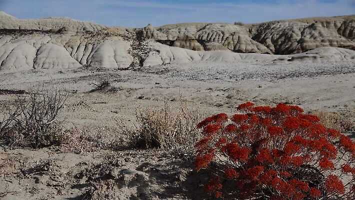 공원 자연 산 멕시코 건조 국립공원 사람없음 야외 가로 스터디 계곡 미국 사막 탐험 외계인 황무지 사암 뉴멕시코 전국 지질학 특별함 불모지 4K 건조기후 MP4 해외동영상 클립영상 공공시설 교육 컨셉 북아메리카 학습 미확인물체 돌_바위 생태계 동영상 파일형식