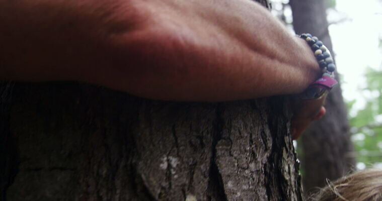 여자 남자 딸 초등학생 어린이 중년 가족 포옹 아프리카 자연 서기 손짓 소녀 야외 두명 부모 아빠 숲 남아프리카 삼림지대 케이프타운 쓰다듬기 4K 틸트업 MOV 해외동영상 클립영상 학생 나라 관계 안기 모션 촬영기법 사람 성인 생태계 동영상 남아프리카공화국 파일형식