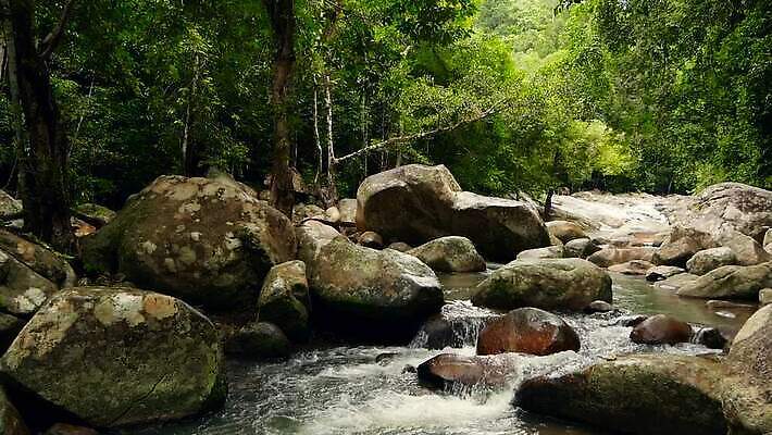 나무 백그라운드 단풍 잎 태국 자연 휴식 국립공원 풍경 사람없음 여름 강 반사 평화 스파 고요 폭포 흐름 덮개 바위 신선 개울 분위기 숲 열대우림 순수 명상 환경보전 무한 삼림지대 이국적 지속성 최면 파라다이스 스플래쉬 MP4 해외동영상 클립영상 식물 계절 공원 아시아 컨셉 뚜껑 돌_바위 사회이슈 생태계 동영상 파일형식