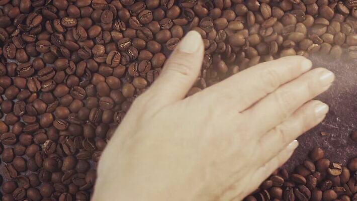 전통 커피 음료 음식 백그라운드 재료 탁자 아침 콩 씨앗 사람없음 목재 컵 농작물 갈색 검은색 어둠 카페 에너지 머그컵 원두 수확 흰색 신선 뜨거움 닫기 맛 아침식사 낟알 굽기 질감 아로마 카푸치노 에스프레소 흙더미 내추럴 고립 모카 아라비카 카페인 4K MOV 해외동영상 클립영상 주간 나무 식물 식기 컬러 가구 컨셉 농업 모션 곡류 상점 식사 흙 구이 동영상 파일형식 더미