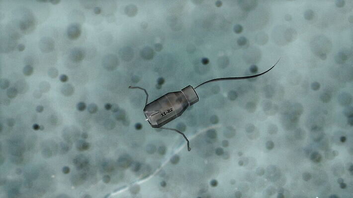 세포 엑스레이 사람없음 치료 약 수영 기계 로봇 암 공학 미니 종양 4K MOV 해외동영상 클립영상 교육 의학 수상스포츠 질병 동영상 파일형식