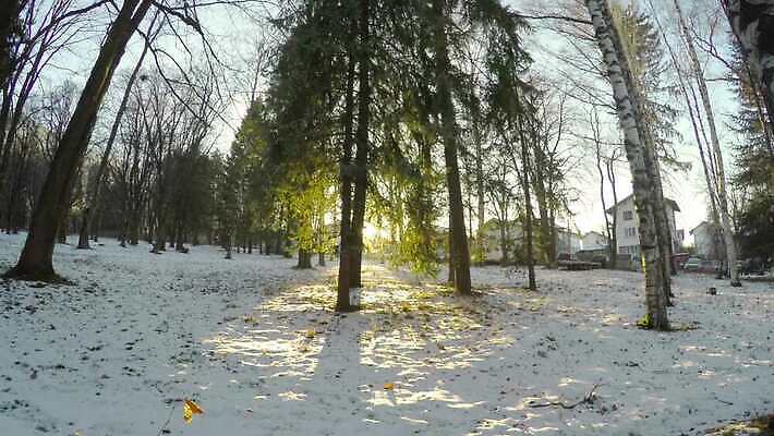 나무 계절 공원 실루엣 도로 여행 크리스마스 겨울 자연 벽지 날씨 휴가 새로움 사람 풍경 사람없음 야외 파란색 도시풍경 걷기 일출 냉동 얼음 침묵 일몰 하이킹 추위 흰색 신선 도시 눈송이 신문 숲 오솔길 12월 연도 서리 정사각형 장면 타운 눈보라 1월 2월 길가 선로 제설기 하이커 1인칭시점 4K MP4 해외동영상 클립영상 자연요소 도형 식물 시선 공공시설 기념일 길 컬러 컨셉 교통시설 모션 레저 눈_날씨 촬영기법 간행물 노을 소리 날짜 뉴스 생태계 동영상 제설 파일형식